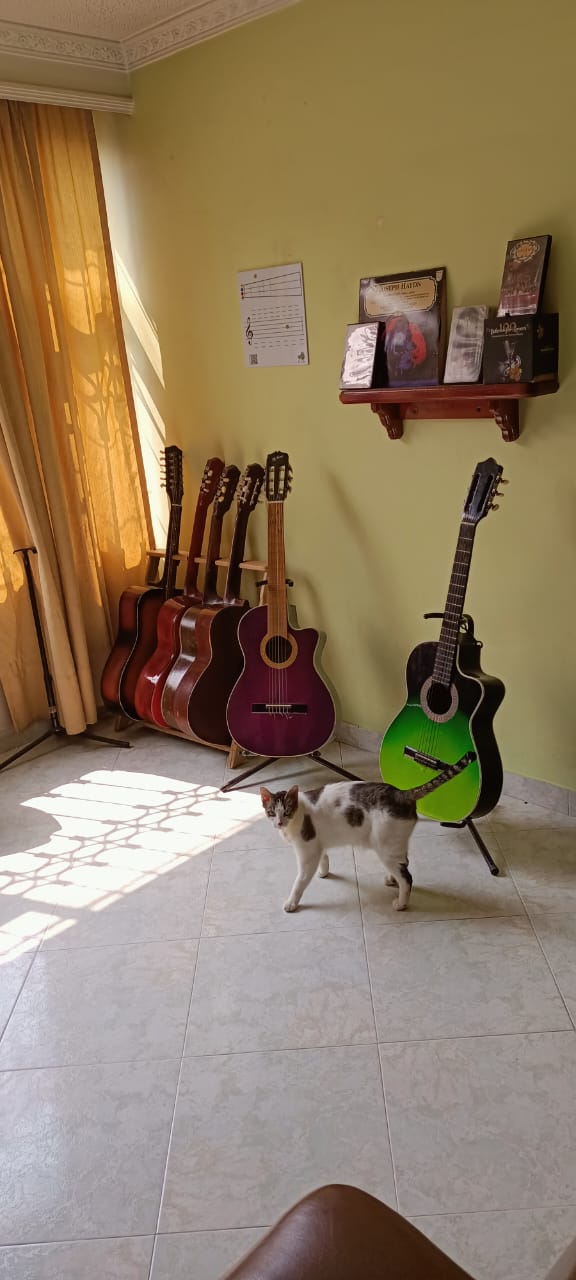 Sala de Guitarras